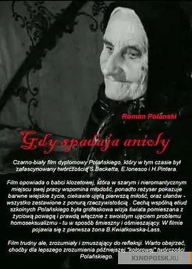 《当天使坠落 (1959)》无广告免费在线观看-星辰影视 影视《当天使坠落 (1959)》高清免费在线播放-vs影院_详情介绍 《当天使坠落 (1959)》百度云/夸克迅雷网盘资源下载