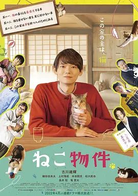 《猫物件 (2022)》无广告免费在线观看-星辰影视 影视《猫物件 (2022)》高清免费在线播放-vs影院_详情介绍 《猫物件 (2022)》百度云/夸克迅雷网盘资源下载